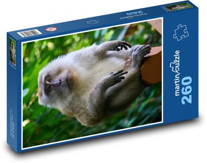 Opica sediaca na vetve - Puzzle 260 dielikov, rozmer 41x28,7 cm