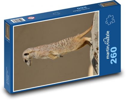 Surikata - Puzzle 260 dílků, rozměr 41x28,7 cm