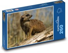 Meerkat Puzzle 260 dielikov - 41 x 28,7 cm 