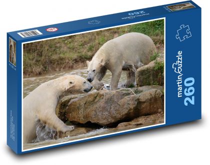 Eisbären im Wasser - Puzzle - 260 Teile