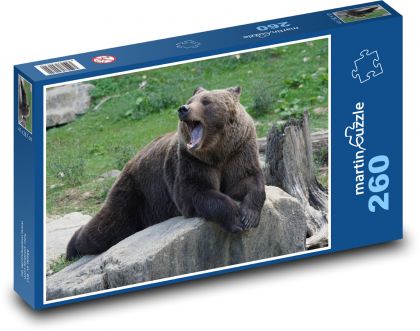 Medvěd hnědý - Puzzle 260 dílků, rozměr 41x28,7 cm