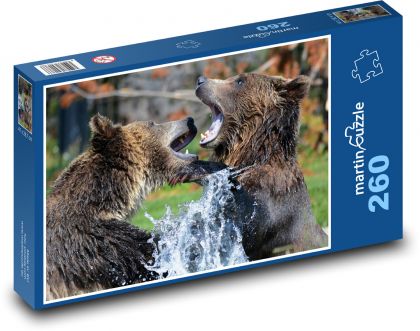 Grizzly bear playing in the water - Puzzle 260 pieces, size 41x28.7 cm 