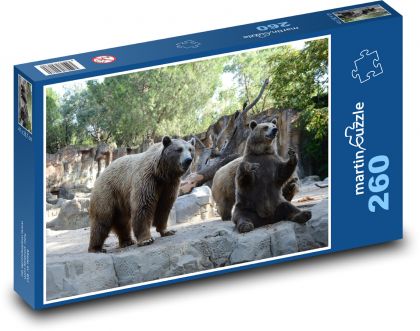 Medvede hnedé v ZOO - Puzzle 260 dielikov, rozmer 41x28,7 cm