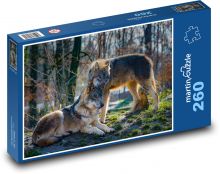Vlci v lese Puzzle 260 - 41x28,7 cm