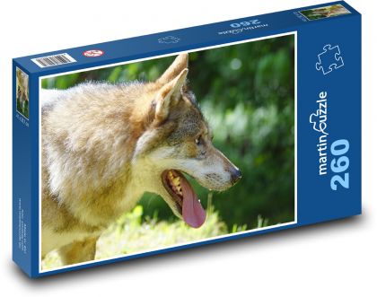 Vlk s vyplazeným jazykom - Puzzle 260 dielikov, rozmer 41x28,7 cm