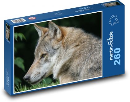 Szary wilk w lesie - Puzzle 260 elementów, rozmiar 41x28,7 cm