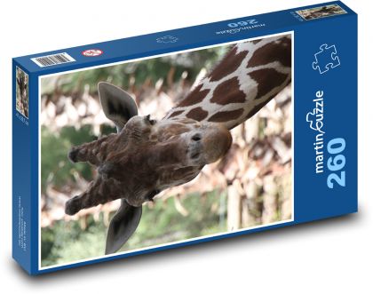 Žirafa - Puzzle 260 dílků, rozměr 41x28,7 cm