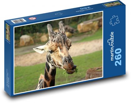 Giraffe - Puzzle 260 pieces, size 41x28.7 cm 