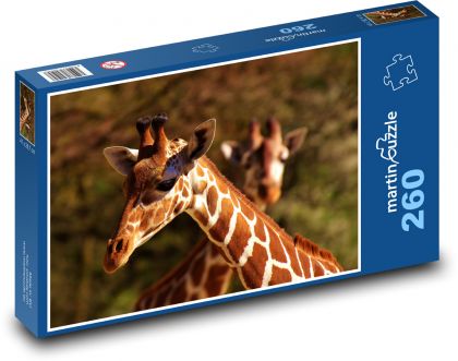 Žirafa - Puzzle 260 dílků, rozměr 41x28,7 cm