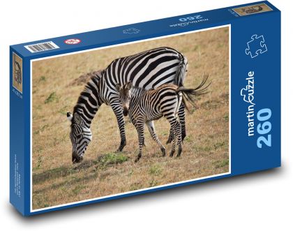 Zebra - Puzzle 260 dílků, rozměr 41x28,7 cm