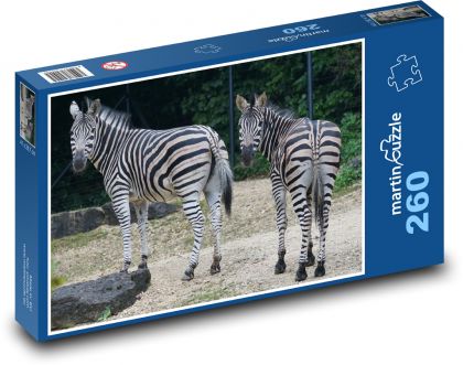 Zebra - Puzzle 260 pieces, size 41x28.7 cm 