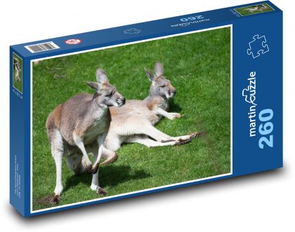 Odpočívajúce klokany - Puzzle 260 dielikov, rozmer 41x28,7 cm