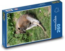 Klokan - Wallaby Puzzle 260 dílků - 41 x 28,7 cm