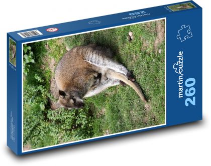 Klokan - Wallaby - Puzzle 260 dílků, rozměr 41x28,7 cm