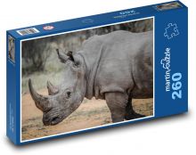 Rhino Puzzle 260 dielikov - 41 x 28,7 cm 
