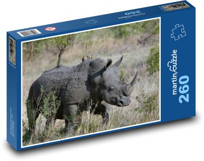 Nosorožec - Puzzle 260 dílků, rozměr 41x28,7 cm