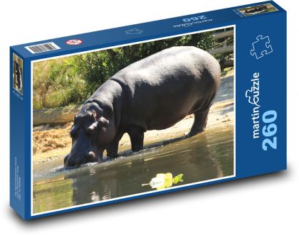 Hippo - Puzzle 260 pieces, size 41x28.7 cm 