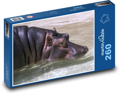 Hroch plávajúci vo vode - Puzzle 260 dielikov, rozmer 41x28,7 cm