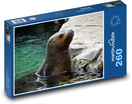 Sea lion - Puzzle 260 pieces, size 41x28.7 cm 