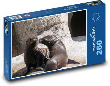 Lachtaní dvojice na slunci - puzzle 260 dílků