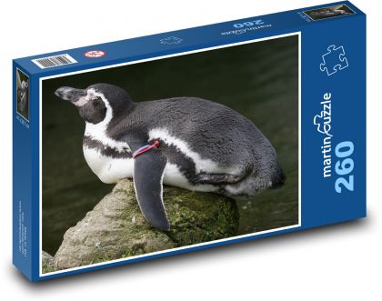 Pinguin - Puzzle - 260 Teile
