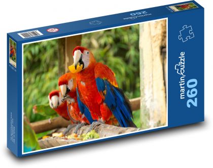 Parrot - Puzzle 260 pieces, size 41x28.7 cm 