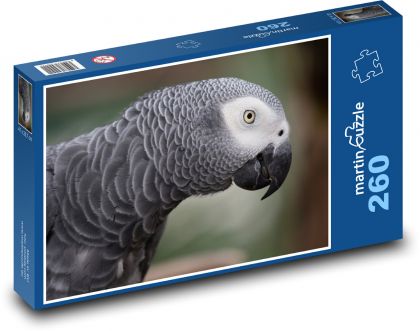 Parrot - Puzzle 260 pieces, size 41x28.7 cm 