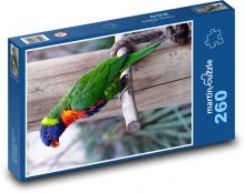 Tęczowa papuga siedząca na patyku Puzzle 260 elementów - 41x28,7 cm