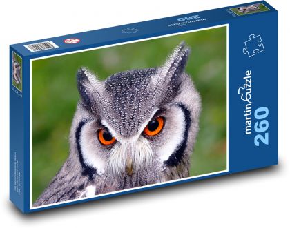 Sowa z pomarańczowymi oczami - Puzzle 260 elementów, rozmiar 41x28,7 cm