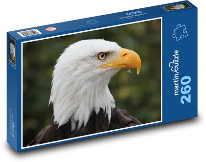 Orol bielohlavý so žltým zobákom - Puzzle 260 dielikov, rozmer 41x28,7 cm