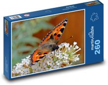 Motýl sedící na bílé květině Puzzle 260 dílků - 41 x 28,7 cm