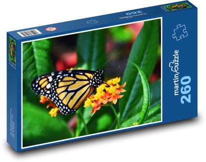 Žlto-čierny motýľ sediaci na kvete - Puzzle 260 dielikov, rozmer 41x28,7 cm