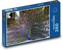Peacock Puzzle 260 pieces - 41 x 28.7 cm