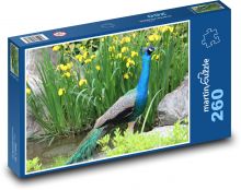 Páv na břehu rybníka Puzzle 260 dílků - 41 x 28,7 cm