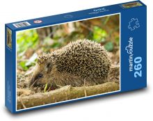 Hedgehog Puzzle 260 pieces - 41 x 28.7 cm 