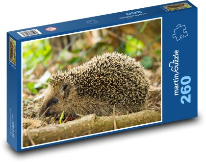 Hedgehog - Puzzle 260 pieces, size 41x28.7 cm 