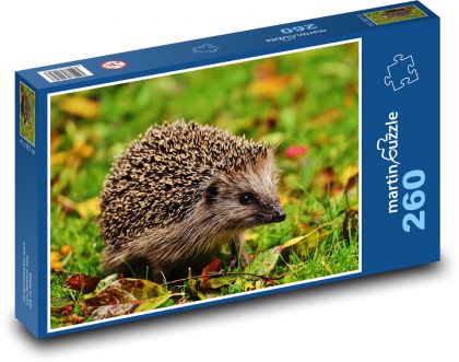 Kleiner Igel im Gras - Puzzle - 260 Teile