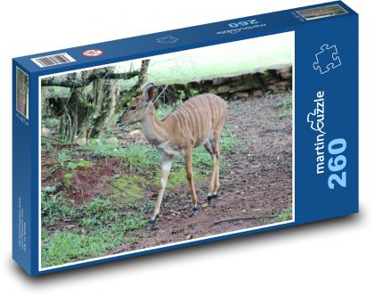 Hirsch, Hirsch mit weißen Streifen - Puzzle - 260 Teile