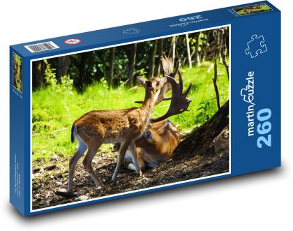Deer - doe - Puzzle 260 pieces, size 41x28.7 cm 