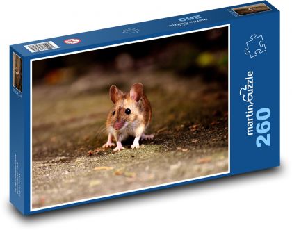 Little mouse on the road - Puzzle 260 pieces, size 41x28.7 cm 