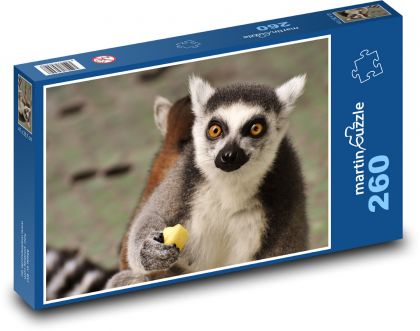Lemur má v labke jablko - Puzzle 260 dielikov, rozmer 41x28,7 cm