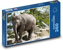 Elephant Puzzle 260 pieces - 41 x 28.7 cm 