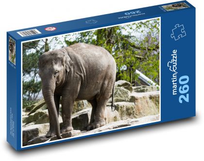 Elefant - Puzzle - 260 Teile