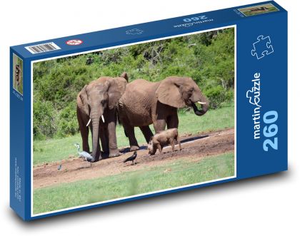 Slon - Puzzle 260 dielikov, rozmer 41x28,7 cm