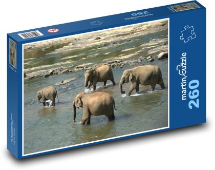 Elephant herd wading the river - Puzzle 260 pieces, size 41x28.7 cm 