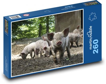 Prosięta w lesie - Puzzle 260 elementów, rozmiar 41x28,7 cm