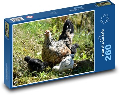 Hen - Puzzle 260 pieces, size 41x28.7 cm 