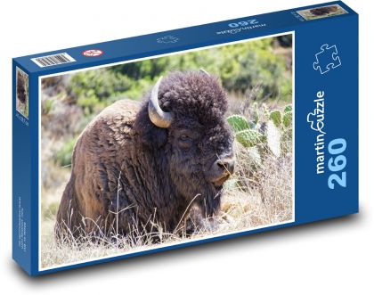 Buffalo in the wild - Puzzle 260 pieces, size 41x28.7 cm 