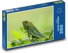 Kameleon Puzzle 260 elementów - 41x28,7 cm