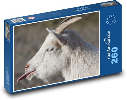 Biała koza z wystającym językiem - Puzzle 260 elementów, rozmiar 41x28,7 cm